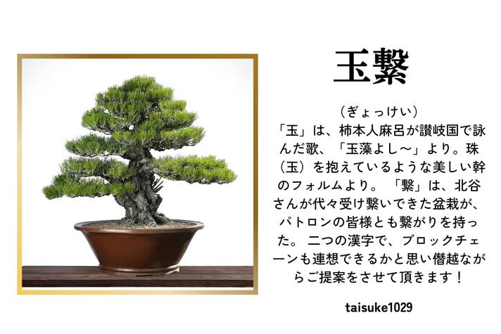 コミュニティ内の投票で決定した「玉繋」