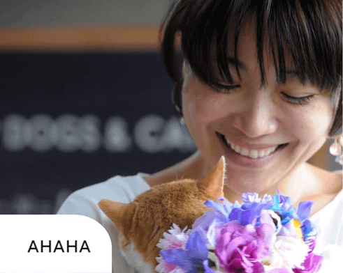 保護猫活動アプリ『みんなで猫だすけ』|Clickでノーコード開発した一時預かりマッチングアプリで事業およびボランティア活動を効率化