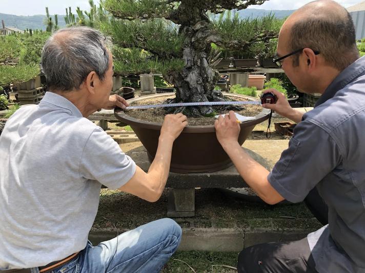 新しい盆栽鉢づくりの進捗を報告